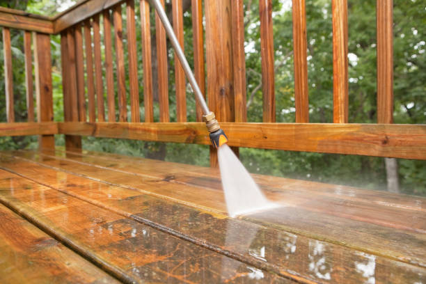 Best Fence Cleaning  in Tonka Bay, MN